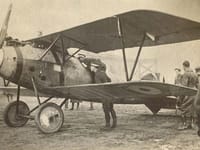 Albatros D.V - Image 5