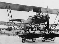 Albatros W.8