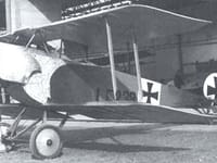 Fokker D.II - Image 2