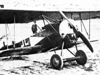 Fokker D.VI - Image 4
