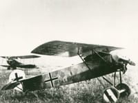 Fokker D.VIII - Image 5