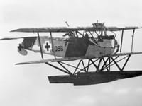Hansa-Brandenburg W.12 - Image 1