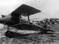 LFG Roland D.II - Image 2