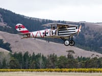 Pfalz D.III - Image 1