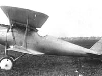 Pfalz D.III - Image 5