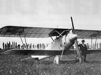 Pfalz D.III - Image 2