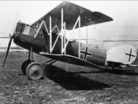 Pfalz D.XII - Image 1