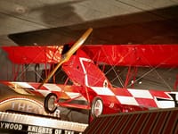 Pfalz D.XII - Image 8