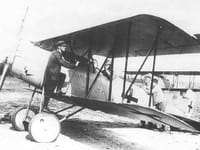 Pfalz D.XII - Image 3