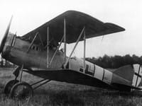 Pfalz D.XII - Image 4