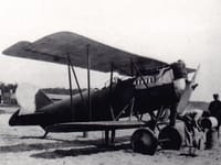 Pfalz D.XV - Image 2