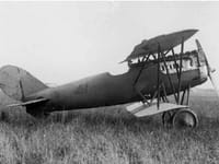 Pfalz D.XV