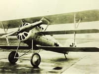 Pfalz Dr.I