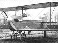 J.V. Martin K.III Kitten