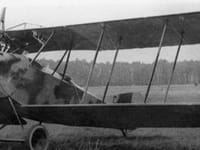 AEG C.IV - Image 2