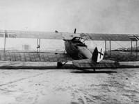 Halberstadt C.V - Image 2