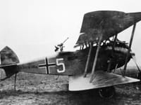 Halberstadt C.V - Image 3