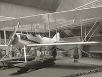 LWF model V - Image 2