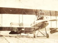 LWF model V - Image 4