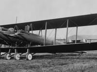 L-W-F Model H Owl - Image 2