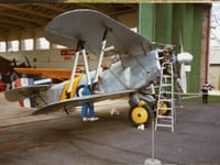 Fairey Flycatcher - Image 2