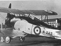 Gloster Gnatsnapper
