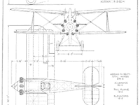 Gloster Goldfinch - Image 2