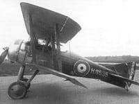 Gloster Nightjar - Image 2