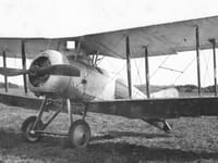 Gloster Sparrowhawk - Image 3