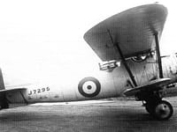 Short Springbok - Image 1