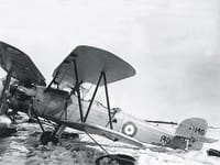 Hawker Tomtit - Image 3