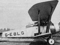 Bristol Boarhound - Image 2