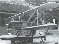 Piaggio P.6 - Image 3