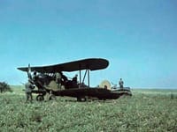 Polikarpov Po-2 - Image 2