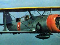 Curtiss SBC Helldiver