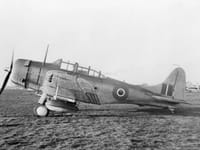 Douglas SBD Dauntless - Image 15