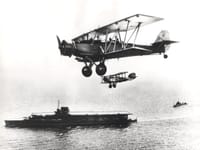 Blackburn Shark - Image 2