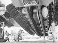 Vickers Wellington - Image 14