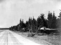 Junkers Ju 88 - Image 21