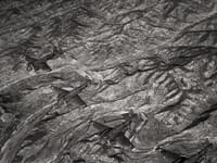 Fiat BR.20 Cicogna - Image 6