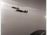 Fiat BR.20 Cicogna - Image 5