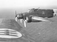 Savoia-Marchetti SM.79 Sparviero - Image 6