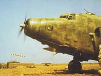 Savoia-Marchetti SM.82 - Image 5