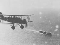 Yokosuka B4Y - Image 2