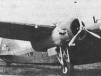 LWS-6 Żubr