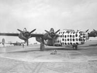 Consolidated B-24 Liberator - Image 19