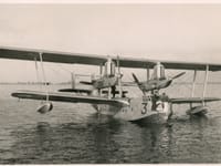 Short Singapore - Image 2