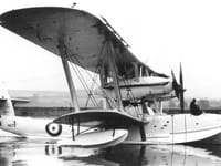 Short Singapore - Image 3