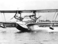 Short Singapore - Image 4