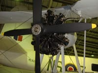 Supermarine Walrus - Image 5